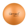 Piłka rehabilitacyjna z systemem ABS 25 cm Qmed Active